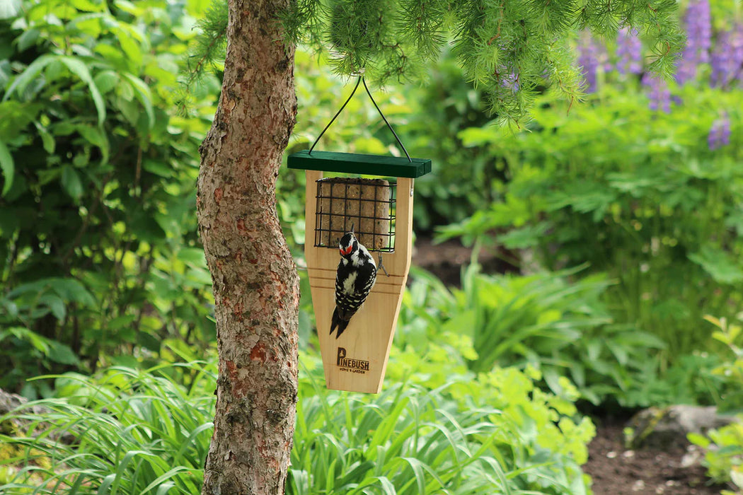 Tail Prop Suet Cake Feeder