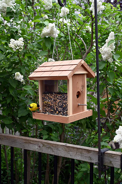Cedar House Feeder