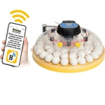 Brinsea Maxi 48 EX Connect fully automatic incubator