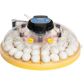 Brinsea Maxi 48 EX fully automatic incubator