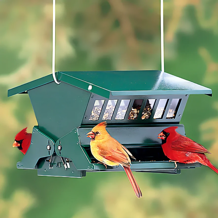 Absolute® II Green Squirrel Resistant Feeder - Double Sided