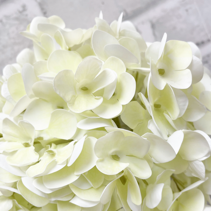 30" Fresh Touch Hydrangea Spray - White Green