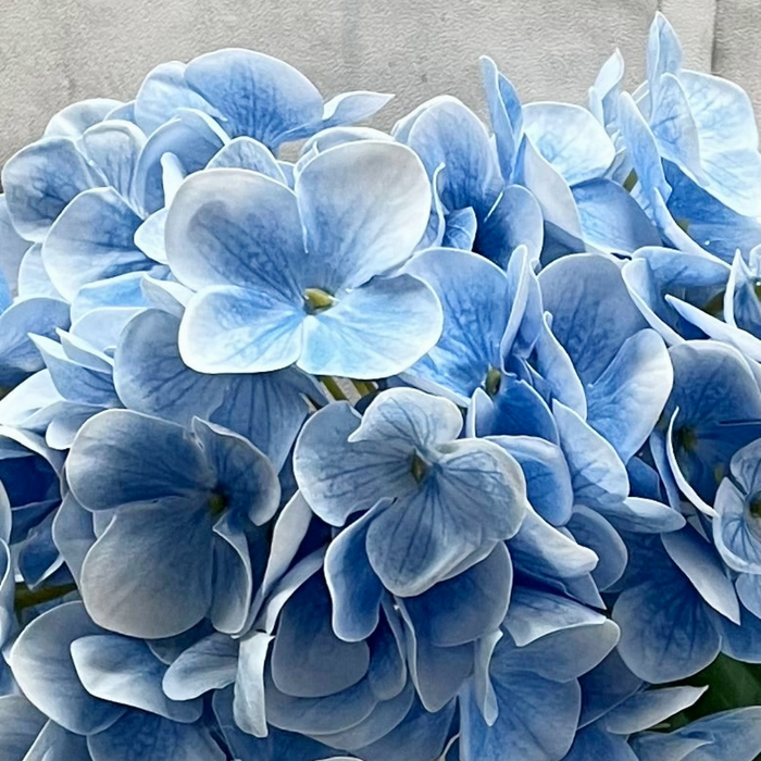 30" Fresh Touch Hydrangea Spray - Blue