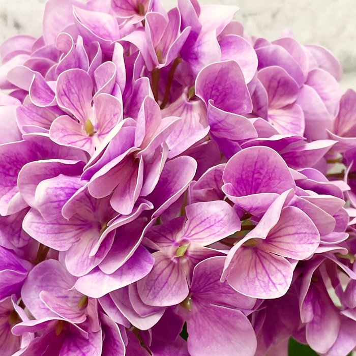 30" Fresh Touch Hydrangea Spray - Mauve