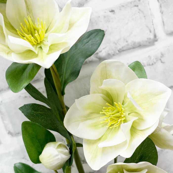 32" Fresh Touch Green White Helleboes Spray