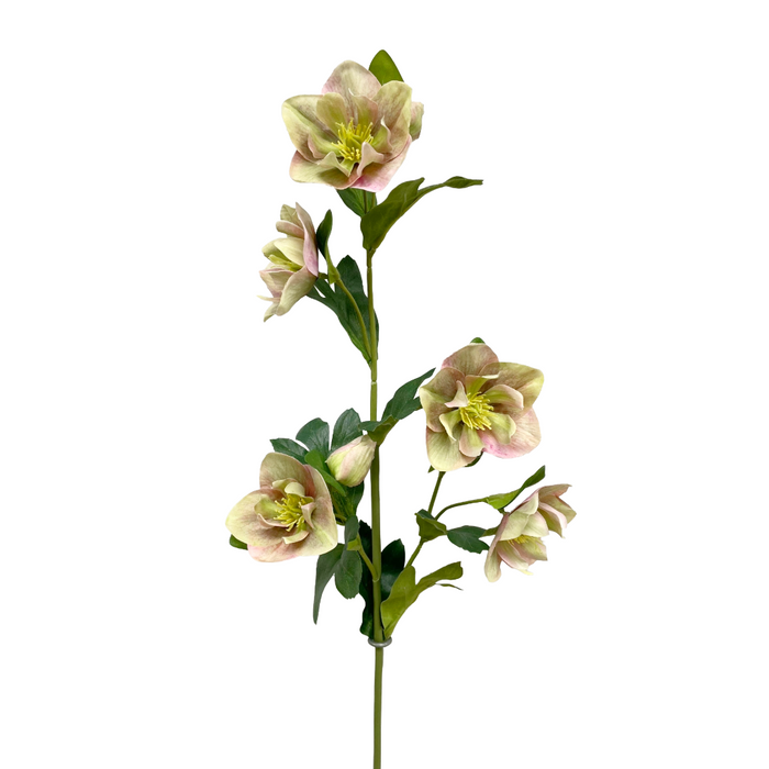 32" Fresh Touch Pink Green Helleboes Spray