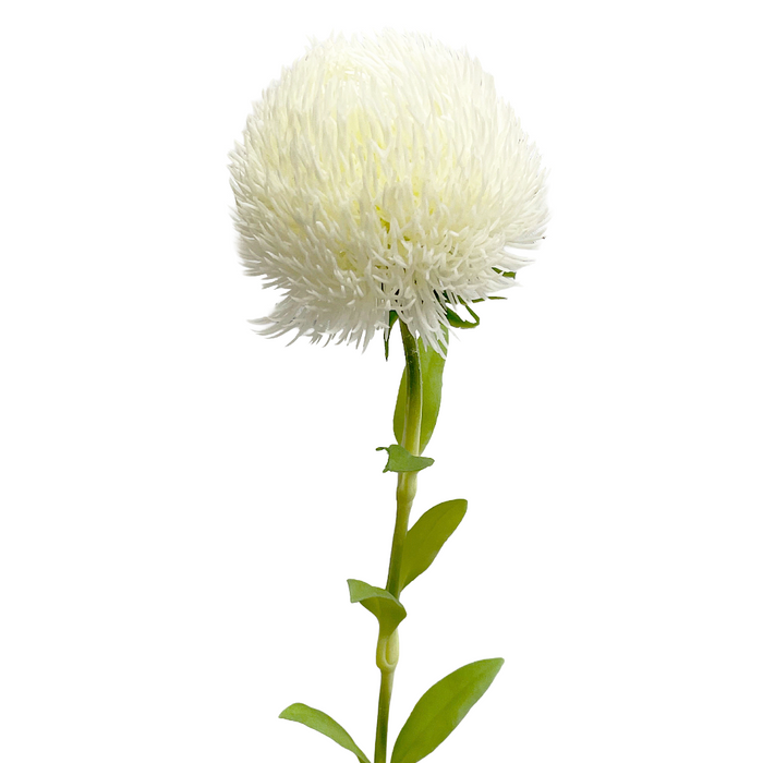 20" Fresh Touch White Allium Spray