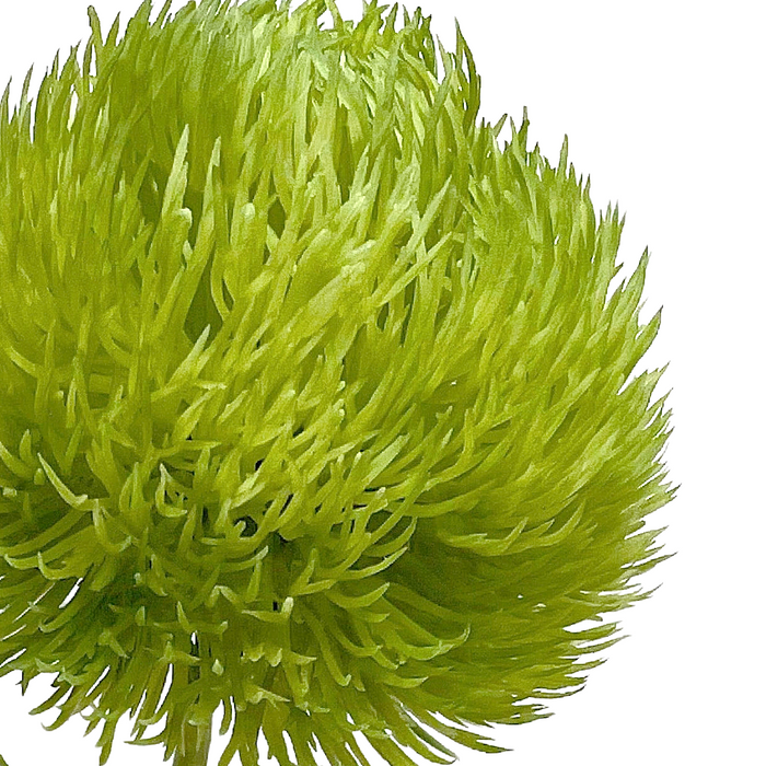 20" Fresh Touch Green Allium Spray