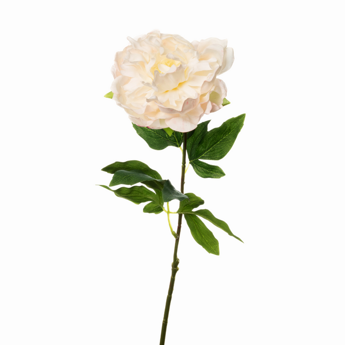 23" Fresh Touch Blush Peony Stem