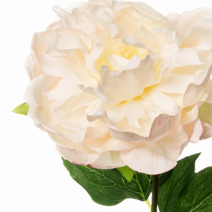 23" Fresh Touch Blush Peony Stem