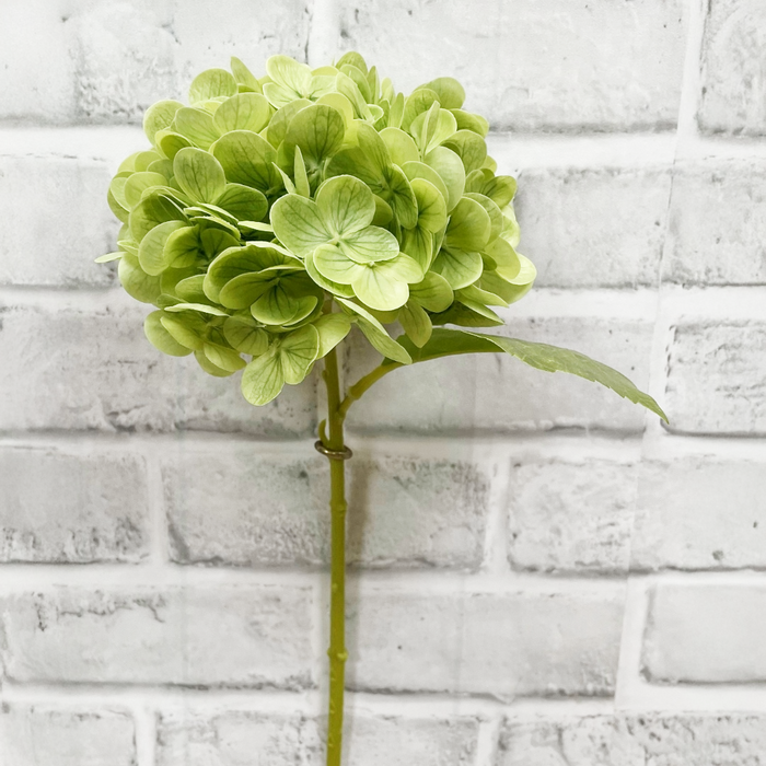12" Fresh Touch Hydrangea Stem - Green