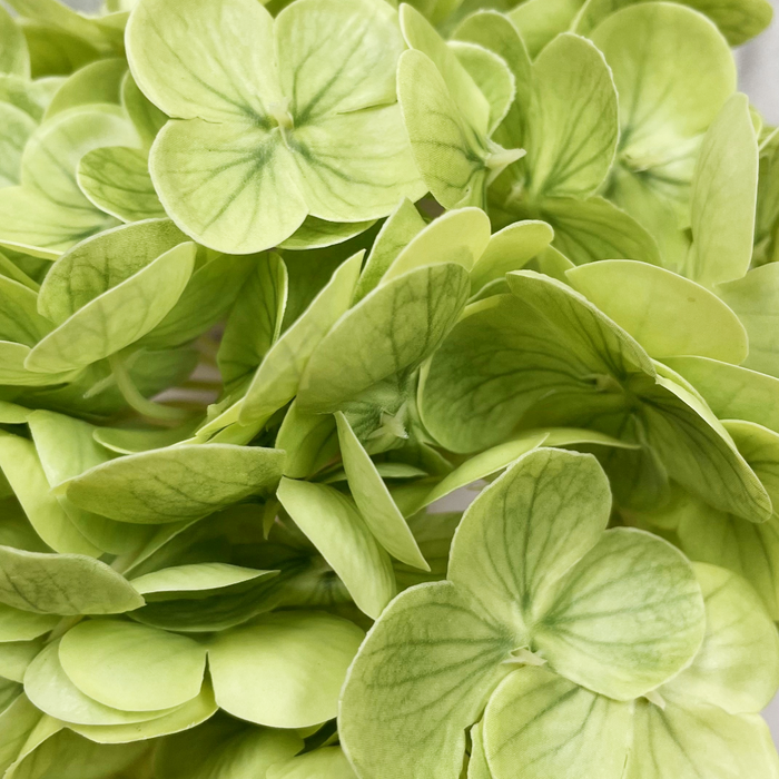 12" Fresh Touch Hydrangea Stem - Green