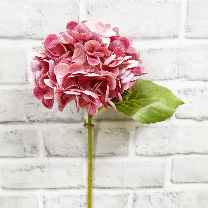 12" Fresh Touch Hydrangea Stem - Rose