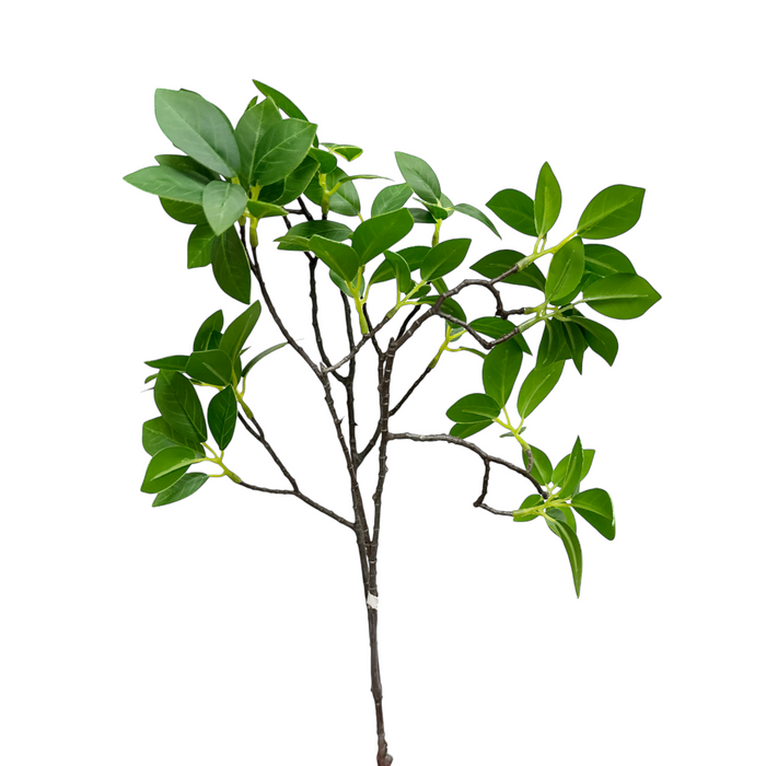 31" Green Ficus Spray