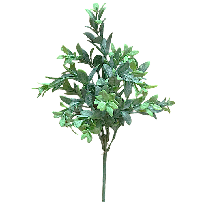 15" Ruscus Bush