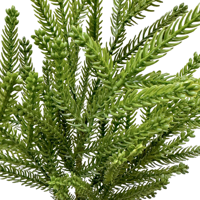 18.5" Fresh Touch Princess Pine Spray