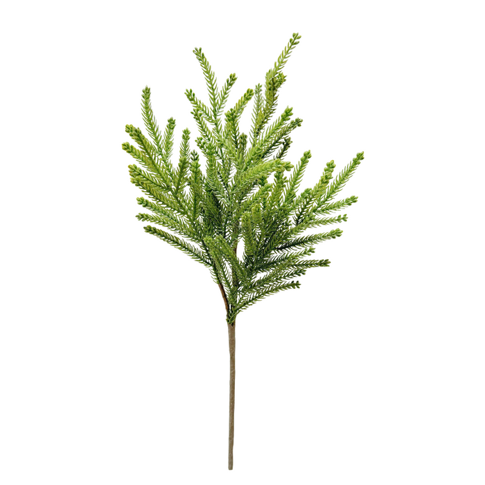 18.5" Fresh Touch Princess Pine Spray