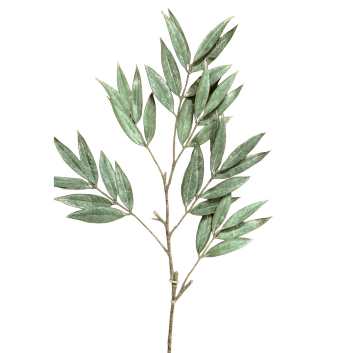 42" Muddy White Willow Spray