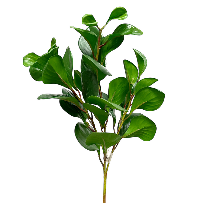 26" Peperomia Spray