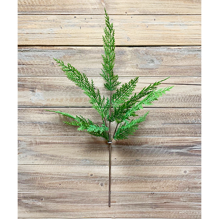 24 Inch Fresh Touch Sequoia Cypress Spray