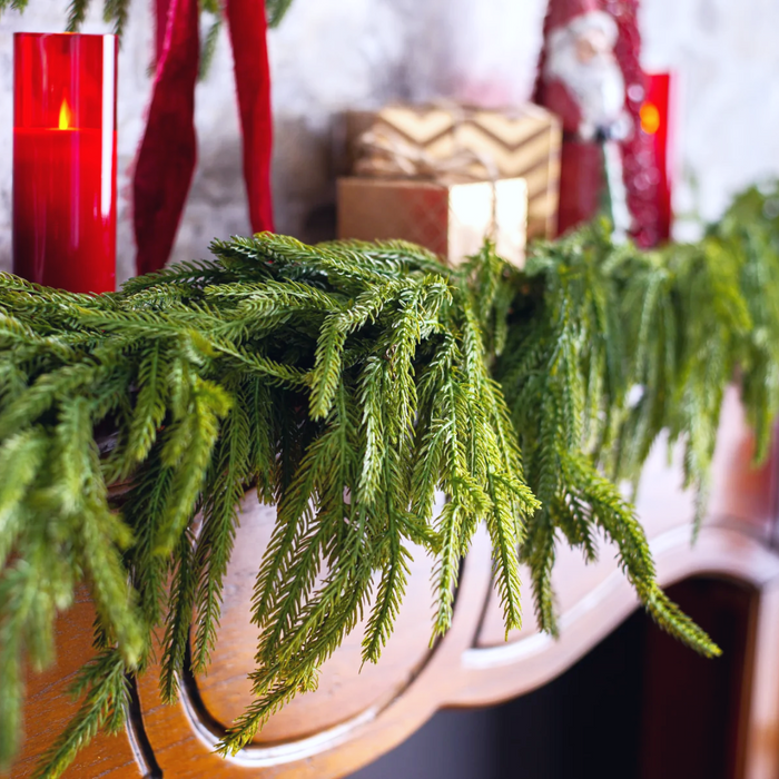 Fresh Touch Norfolk Pine 41 Inch Garland