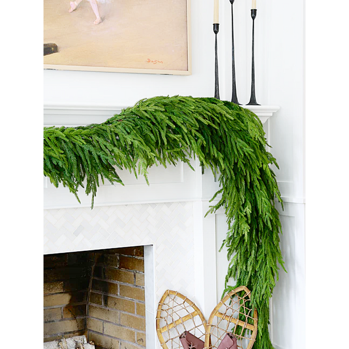 77 Inch Fresh Touch Thick Norfolk Pine Garland