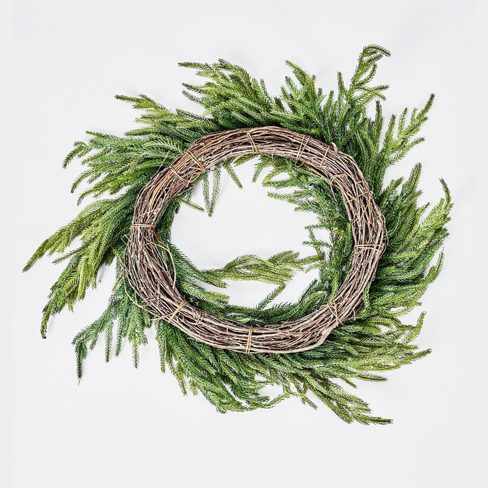 24 Inch Fresh Touch Norfolk Pine Wreath On Natural Frame