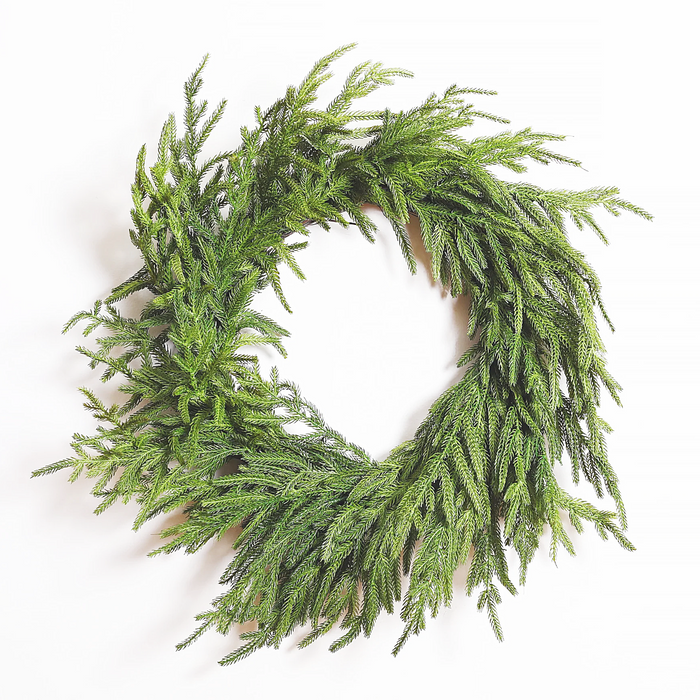 24 Inch Fresh Touch Norfolk Pine Wreath On Natural Frame