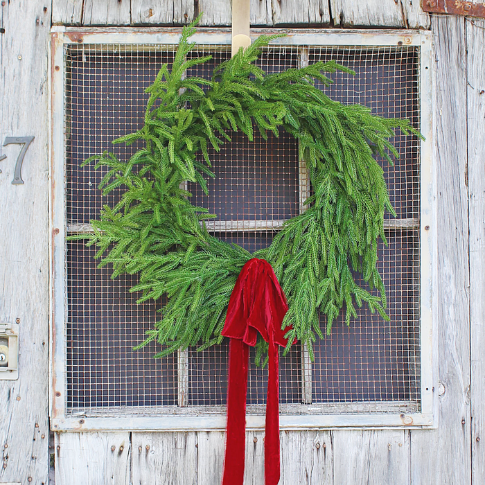 24 Inch Fresh Touch Norfolk Pine Wreath On Natural Frame