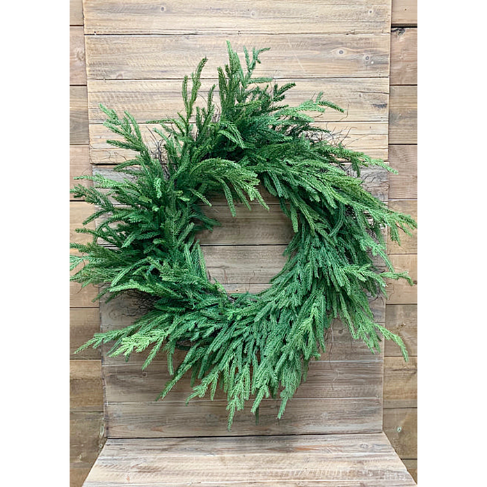 24 Inch Fresh Touch Norfolk Pine Wreath On Natural Frame