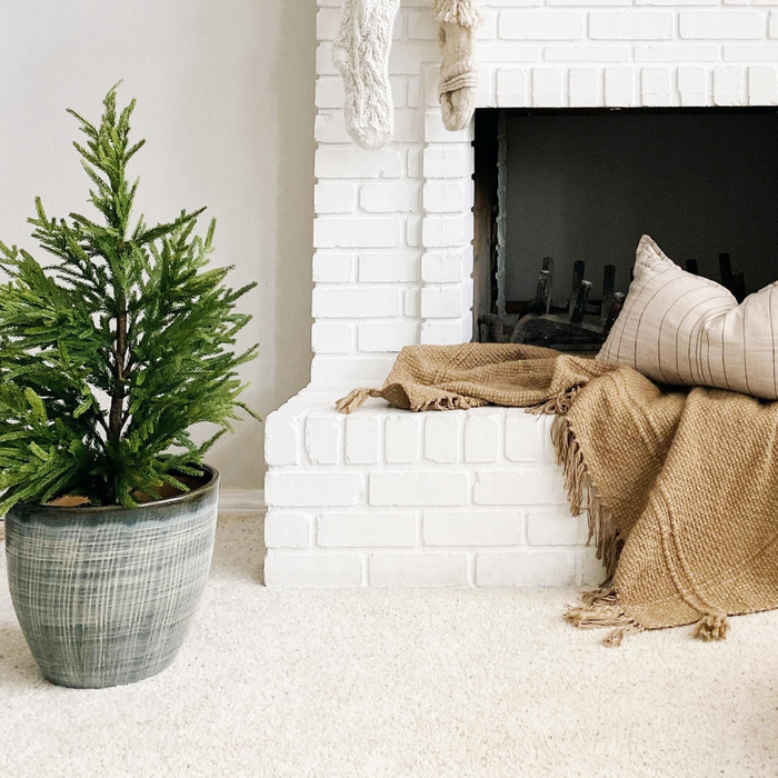 40 Inch Fresh Touch Norfolk Pine Tree Potted in Plastic Pot