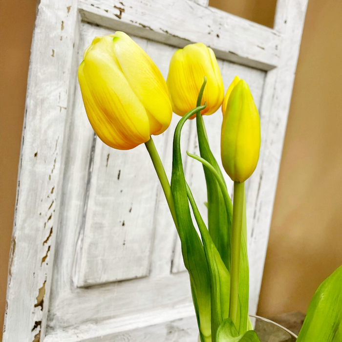 19" Fresh Touch Tulip Bundle - Yellow