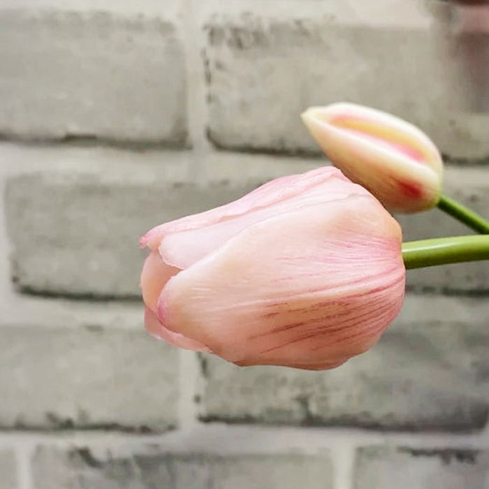 19" Fresh Touch Tulip Bundle - Pink