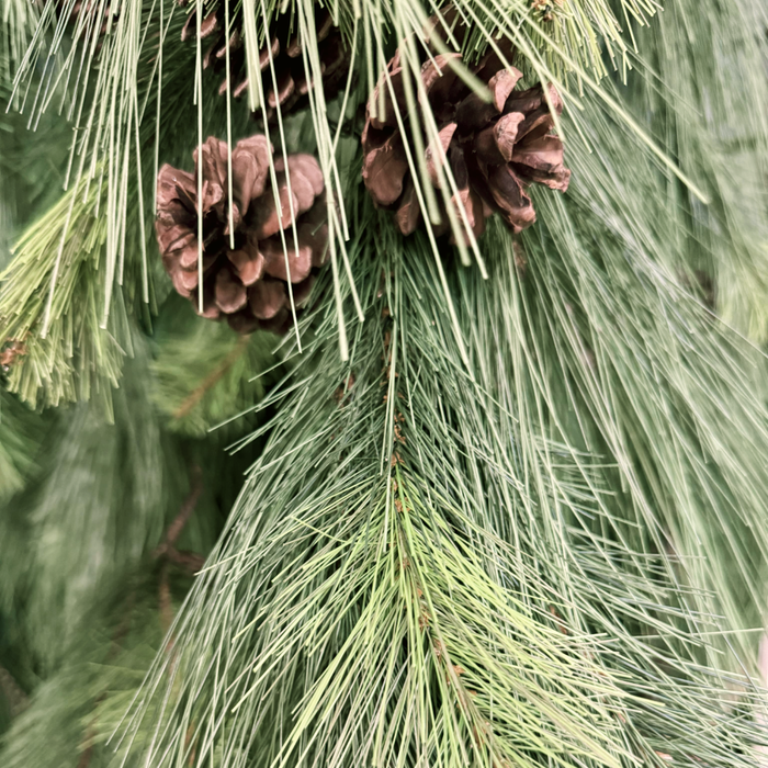 6 Foot-Long Needle Mixed Pine Garland