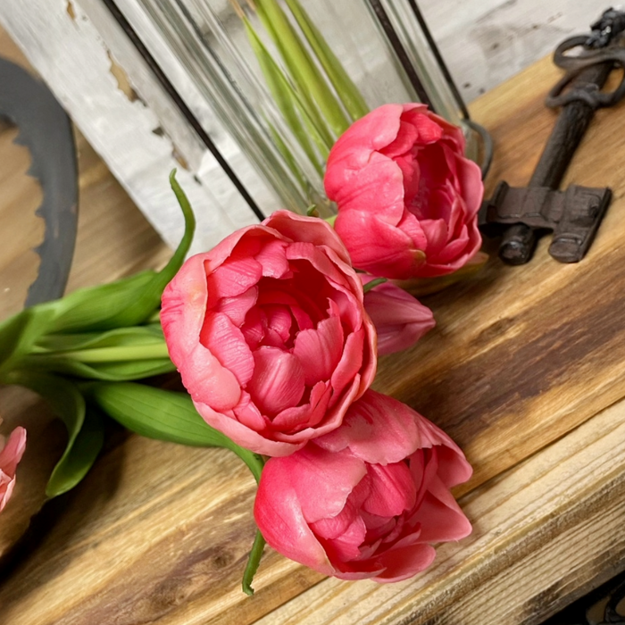 18" Fresh Touch Double Peony Tulip Bundle - Rose