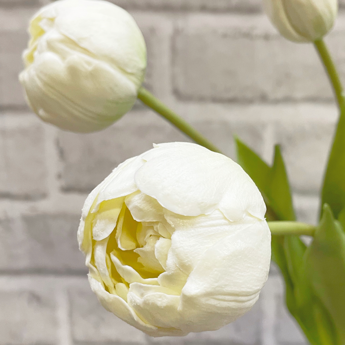18" Fresh Touch Double Peony Tulip Bundle - White