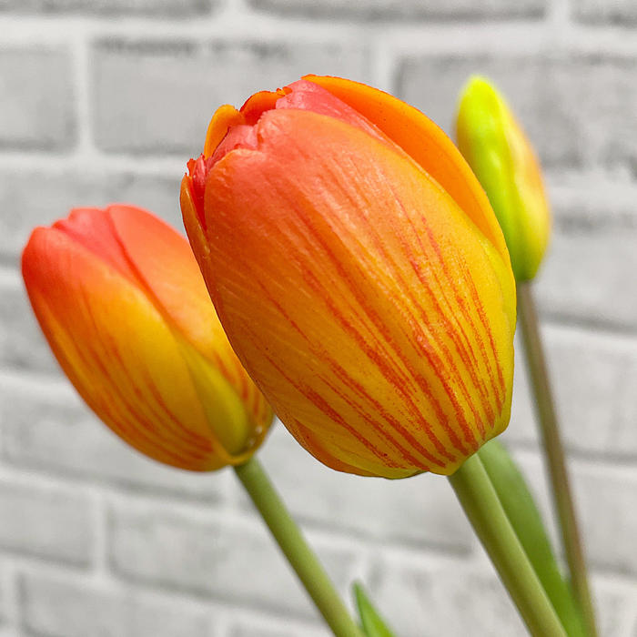 16" Fresh Touch Tulip Bundle - Orange