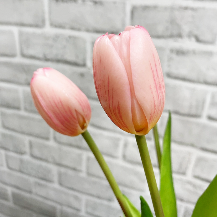 16" Fresh Touch Tulip Bundle - Pink