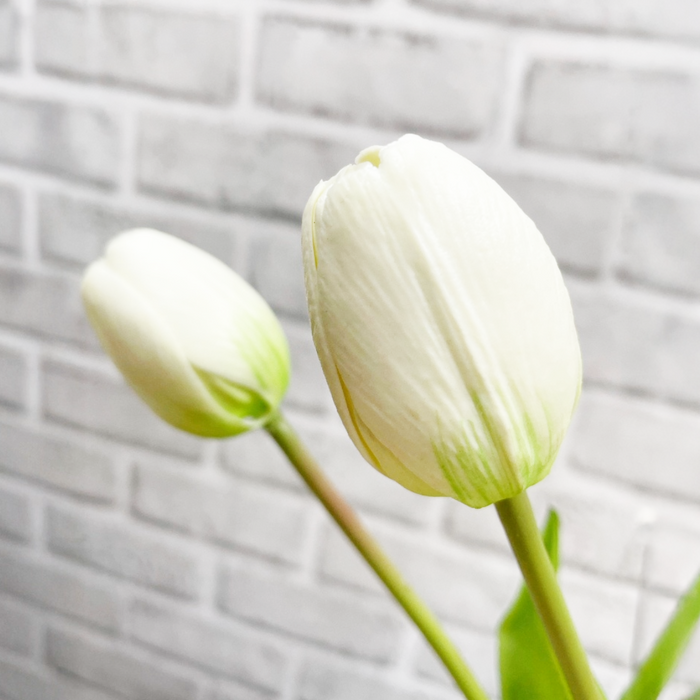 16" Fresh Touch Tulip Bundle - White