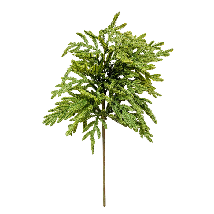 23" Fresh Touch Norfolk Island Pine Spray