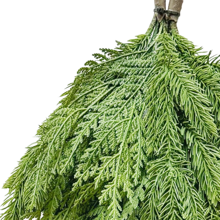 22" Fresh Touch Spruce and Cedar Teardrop