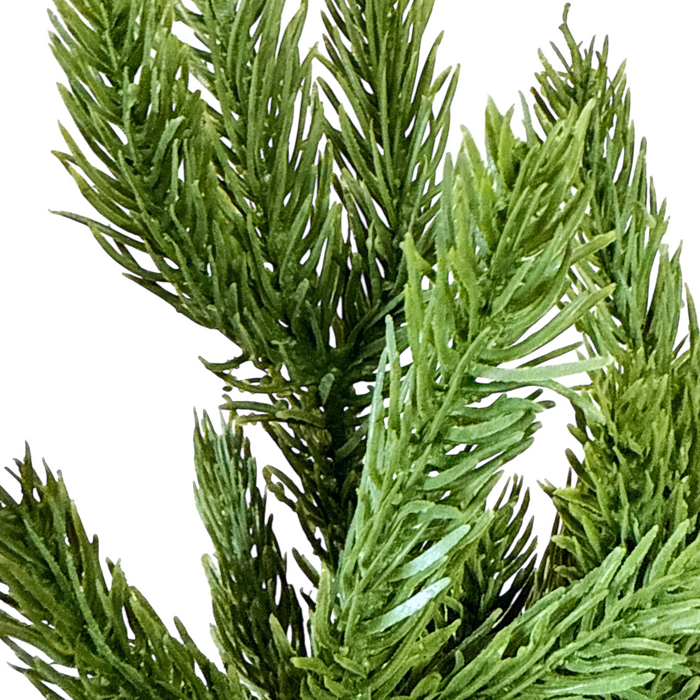 15" Fresh Touch Spruce Bundle - 5 Stems
