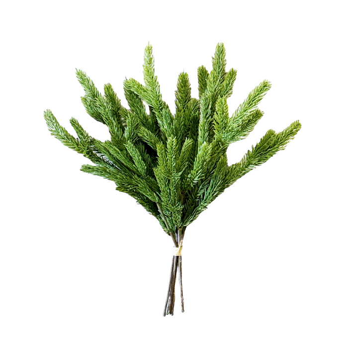 15" Fresh Touch Spruce Bundle - 5 Stems