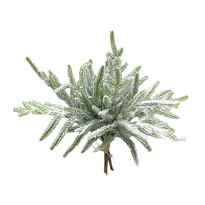 12" Snowy Norfolk Pine Bundle - 5 Stems