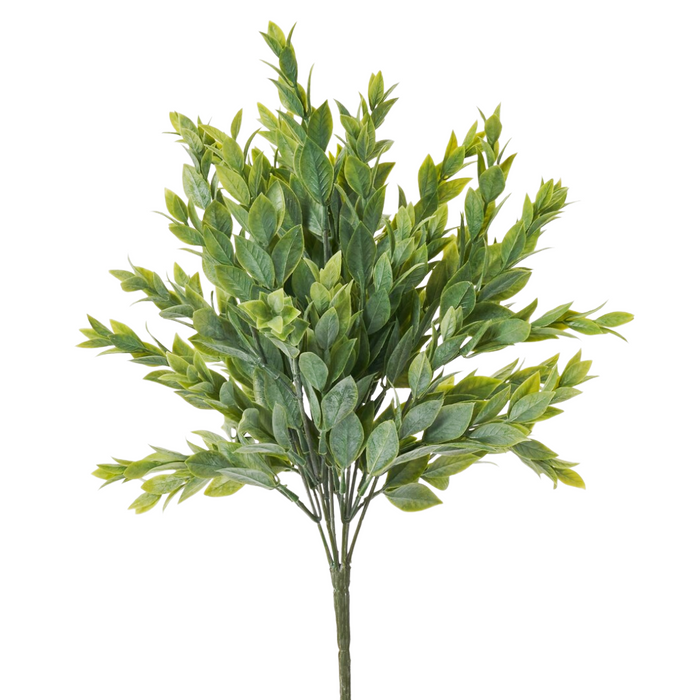 15" Ruscus Leaves Bush