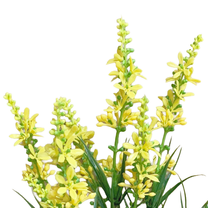 13" Yellow Sweet Veronica Bush - 5 Stems