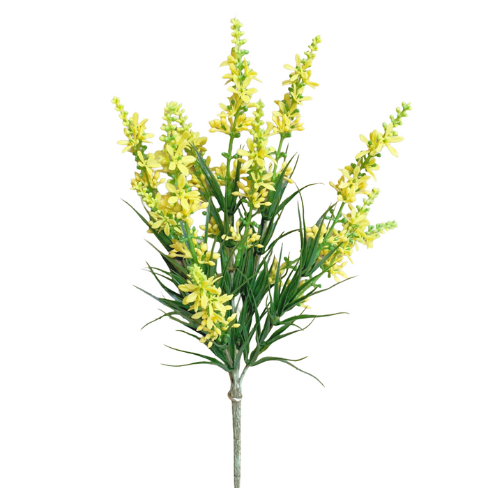 13" Yellow Sweet Veronica Bush - 5 Stems