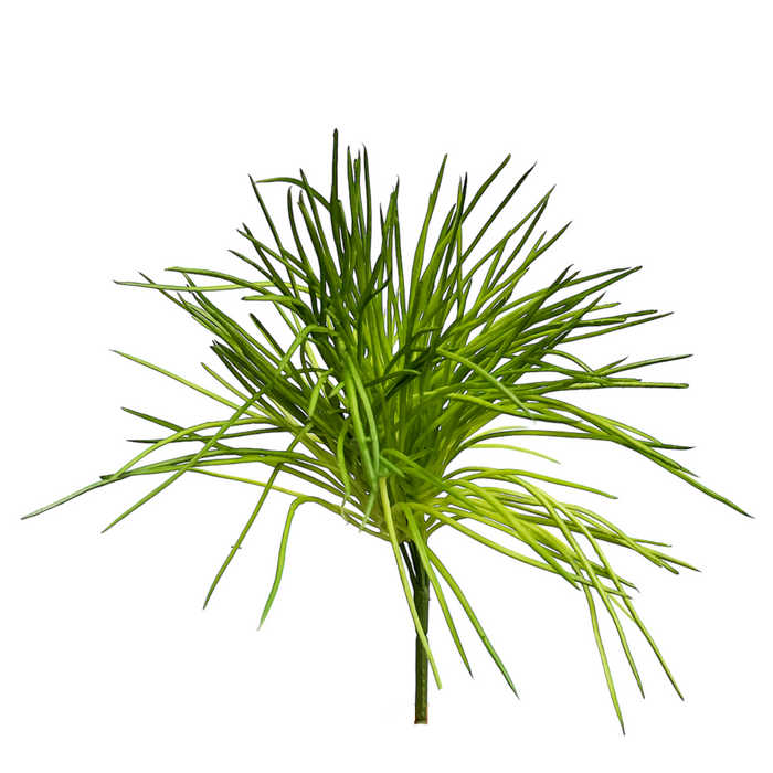10" Fresh Touch Grass Bush