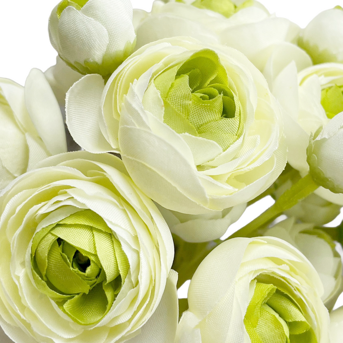 11" Green Ranunculus Bundle