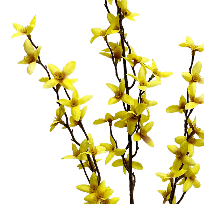 32.5" Forsythia Spray